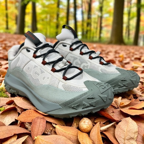 Nike ACG Mountain Fly 2 Low Gore-Tex Mens Size 11 Sneakers Hiking Trail Running - Picture 1 of 14